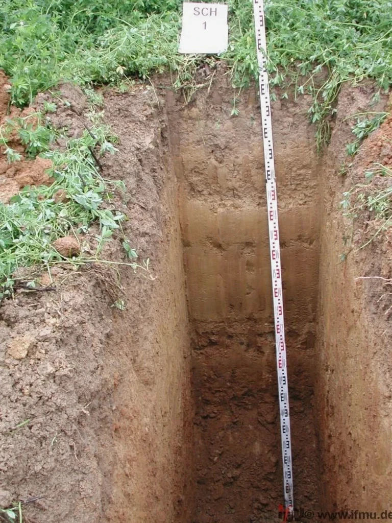 Exploratory Test Pit Services in Salt Lake City